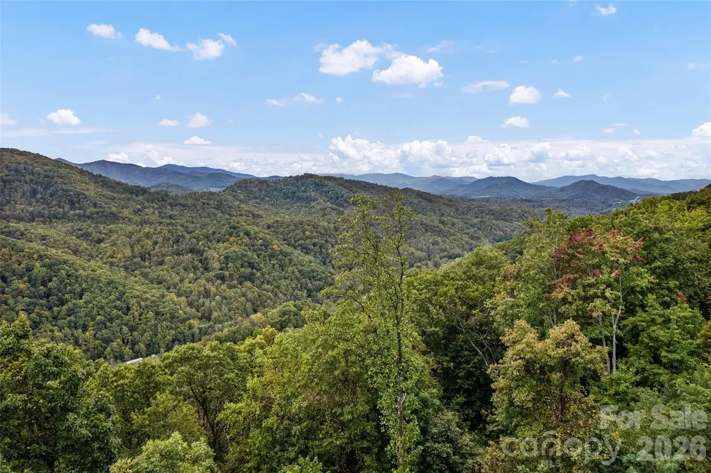 1505 Summit View Drive Canton NC 28716