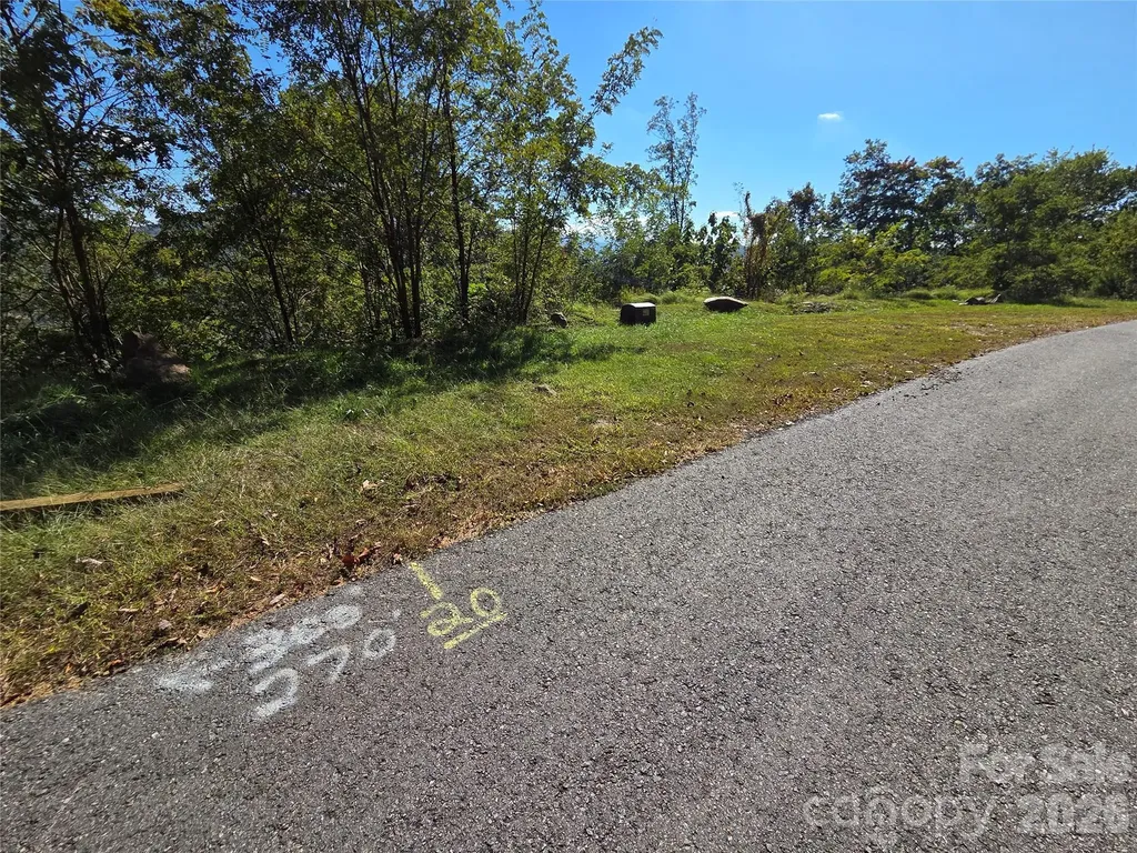 1505 Summit View Drive Canton NC 28716
