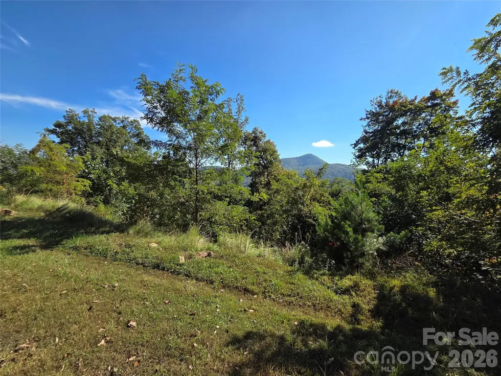 1505 Summit View Drive Canton NC 28716