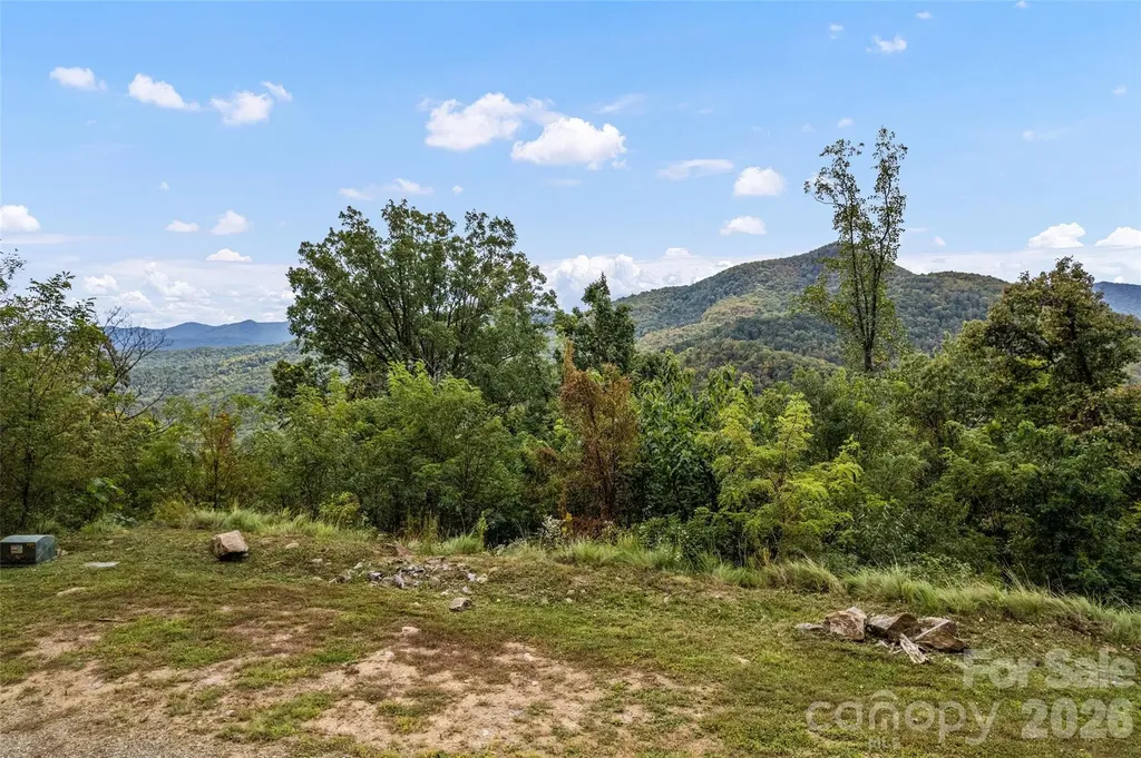 1505 Summit View Drive Canton NC 28716