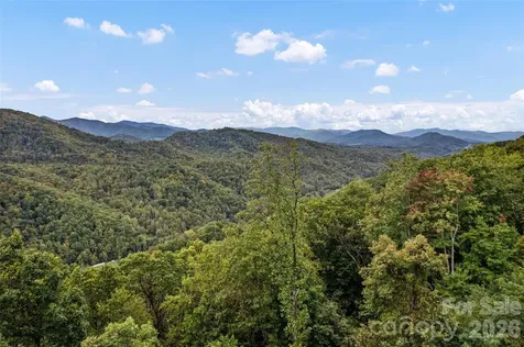 1505 Summit View Drive Canton NC 28716