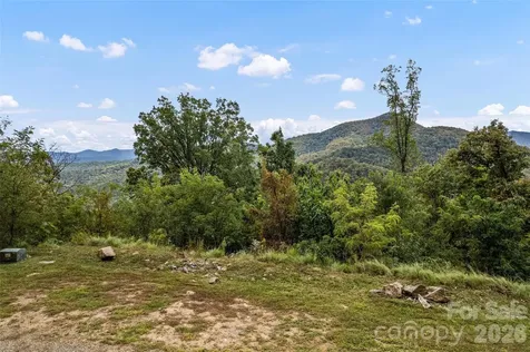 1505 Summit View Drive Canton NC 28716