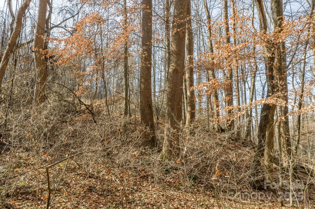 0 E Brocktown Road Moravian Falls NC 28654