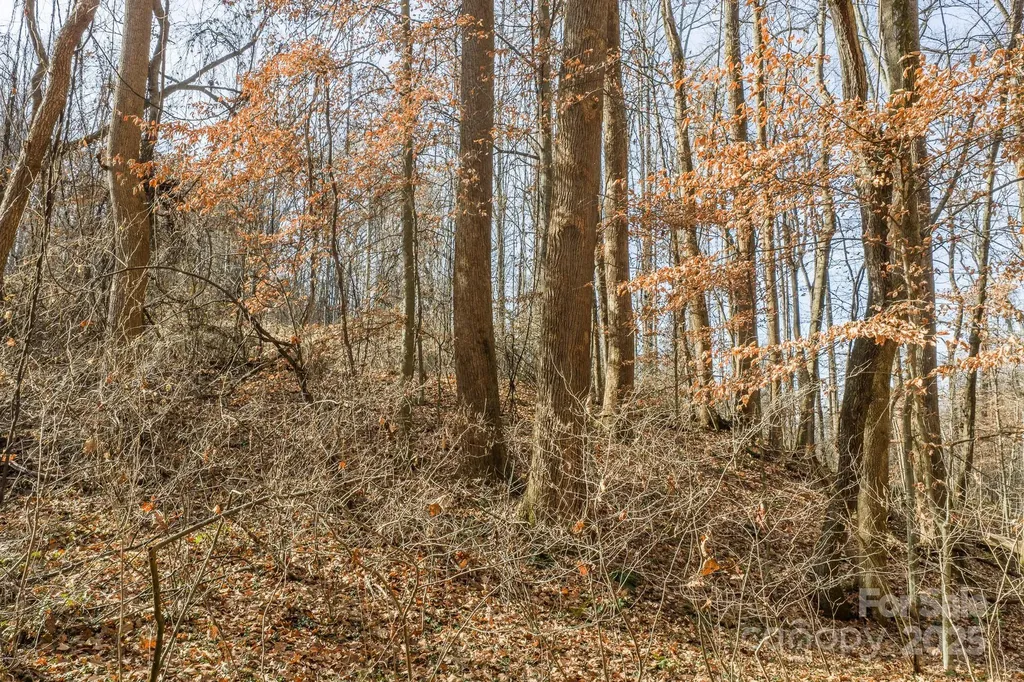 0 E Brocktown Road Moravian Falls NC 28654