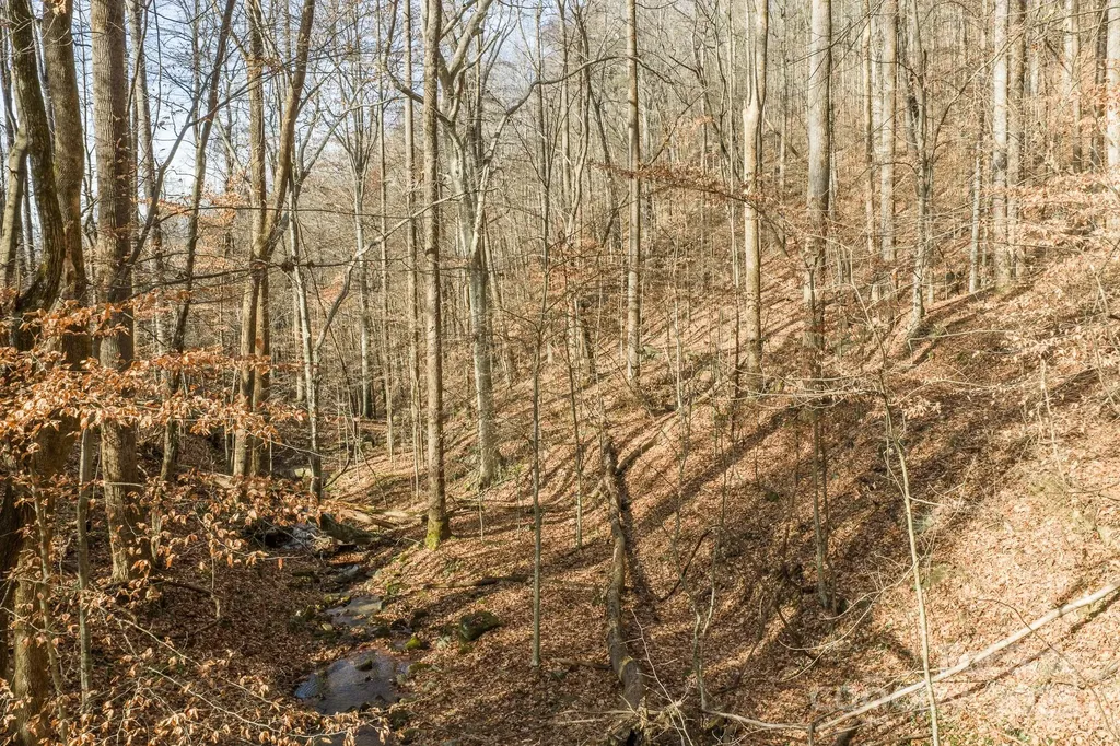 0 E Brocktown Road Moravian Falls NC 28654