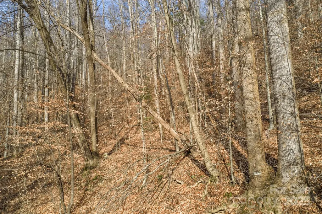 0 E Brocktown Road Moravian Falls NC 28654
