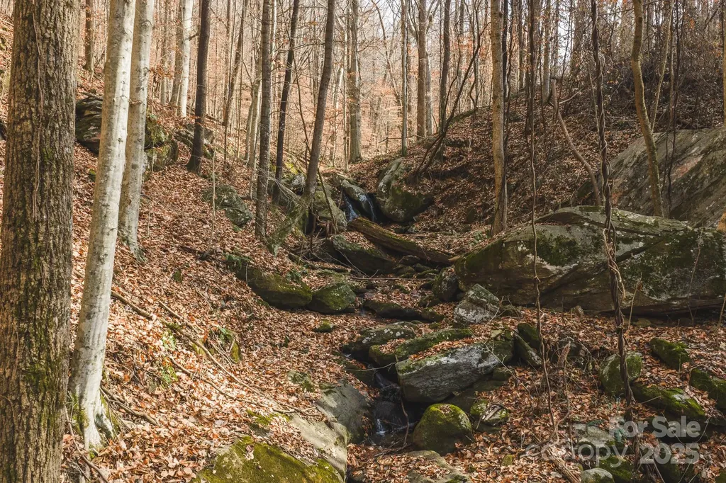 0 E Brocktown Road Moravian Falls NC 28654