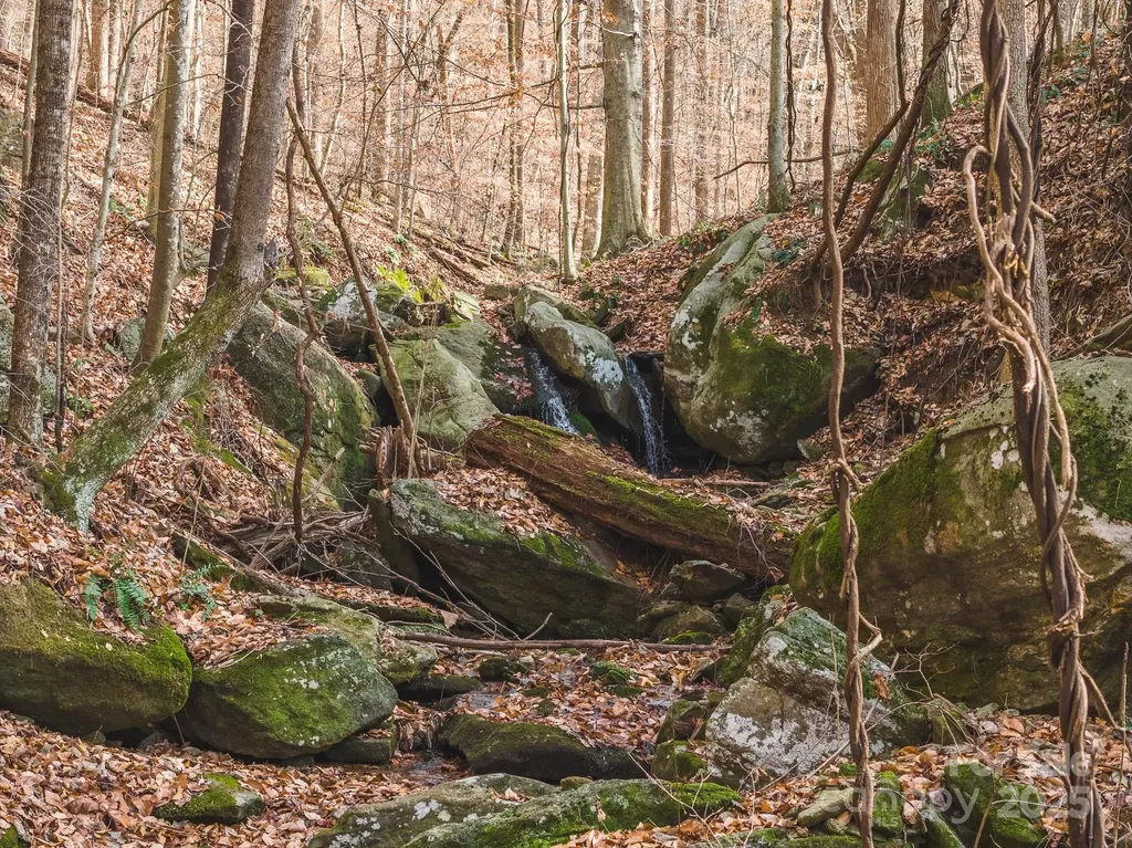 0 E Brocktown Road Moravian Falls NC 28654