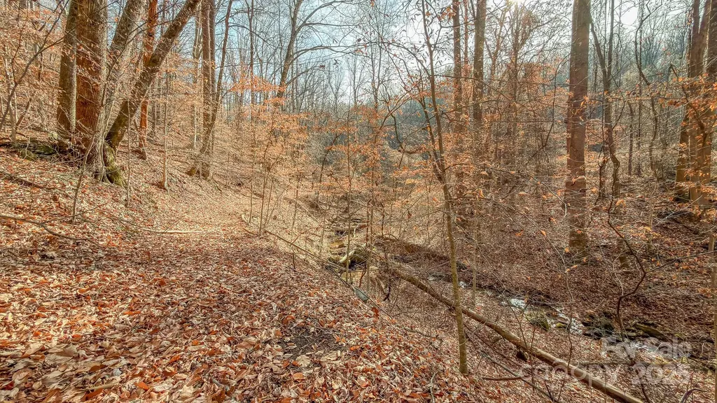 0 E Brocktown Road Moravian Falls NC 28654