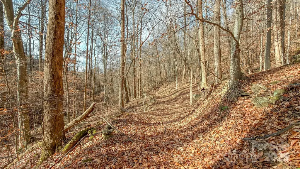 0 E Brocktown Road Moravian Falls NC 28654