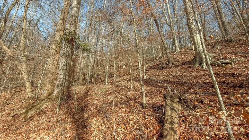 0 E Brocktown Road Moravian Falls NC 28654
