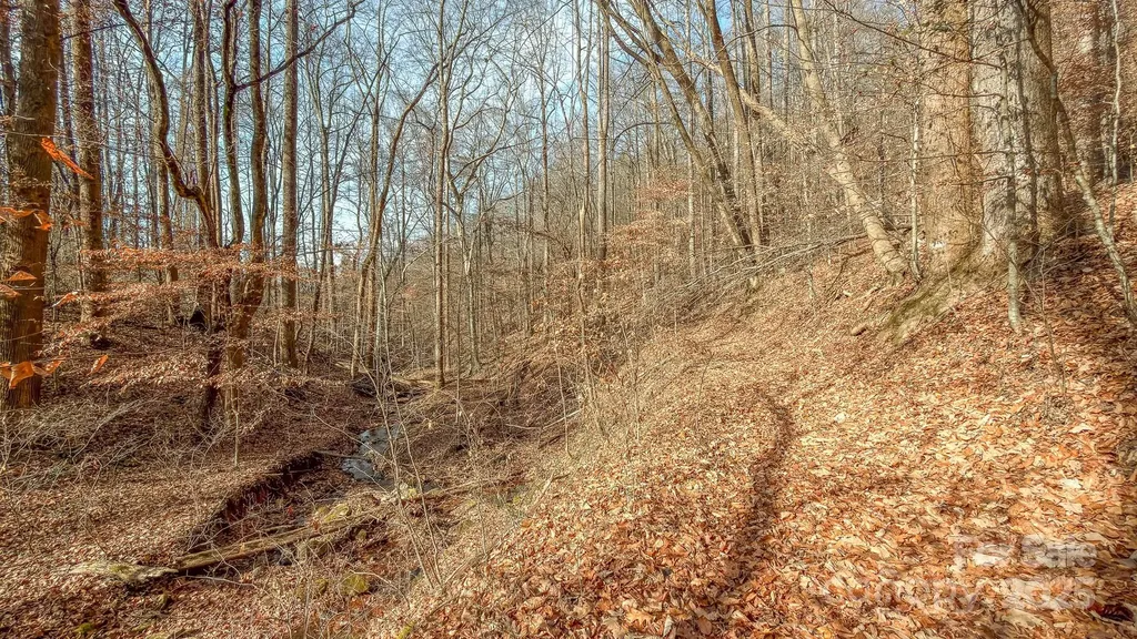 0 E Brocktown Road Moravian Falls NC 28654