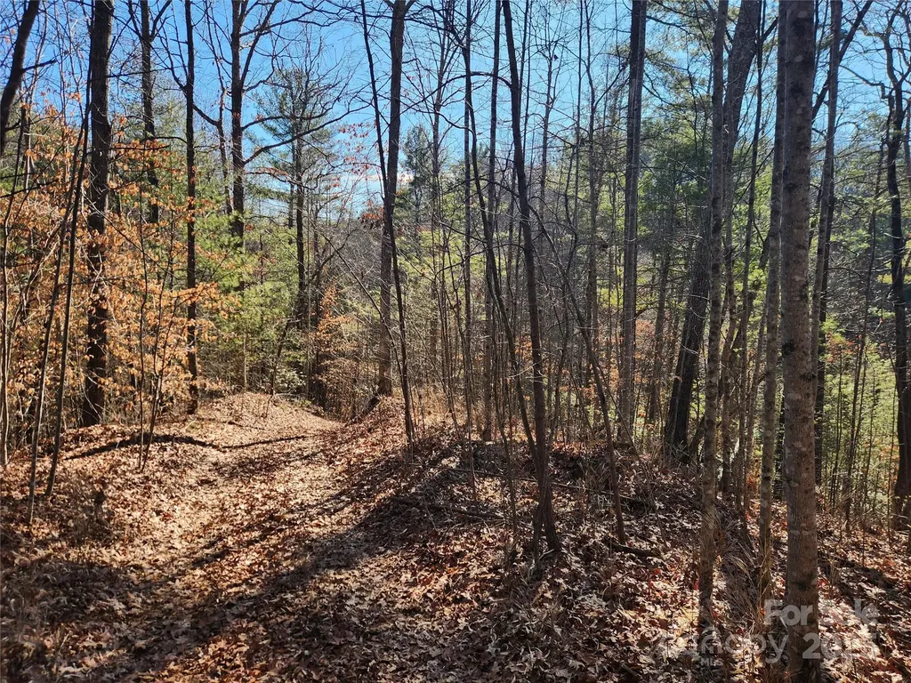 2500 Playmore Beach Road Lenoir NC 28645