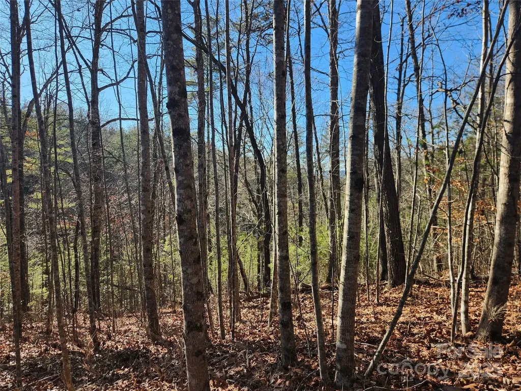 2500 Playmore Beach Road Lenoir NC 28645