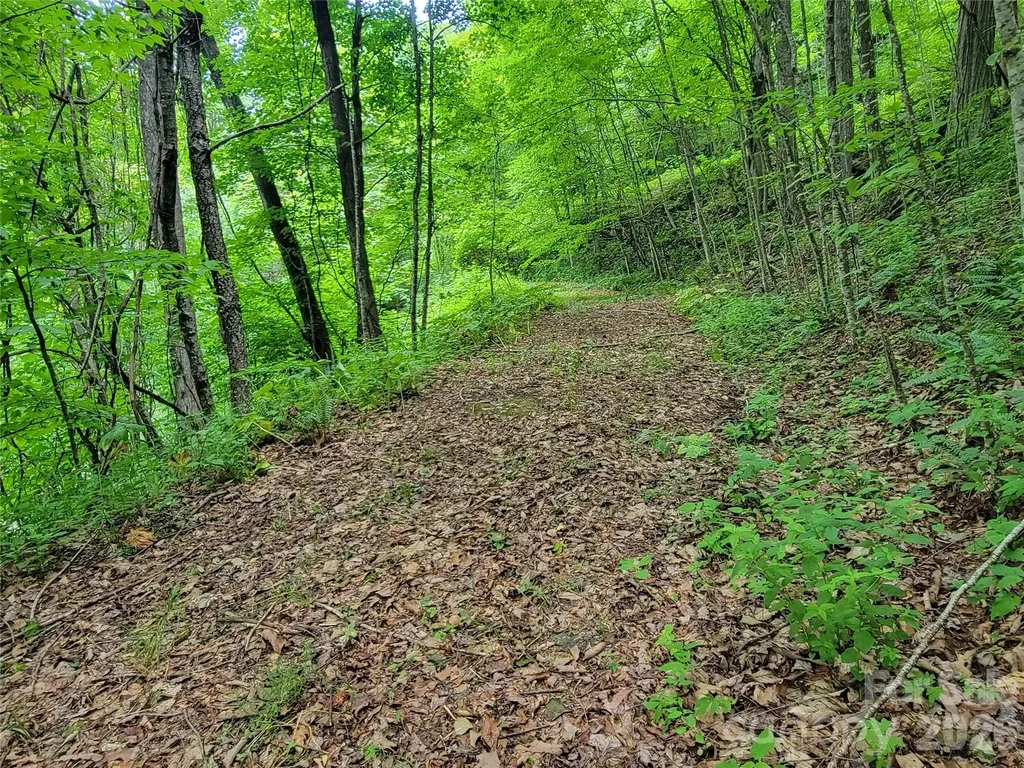 75 Rimrock Ridge Clyde NC 28721