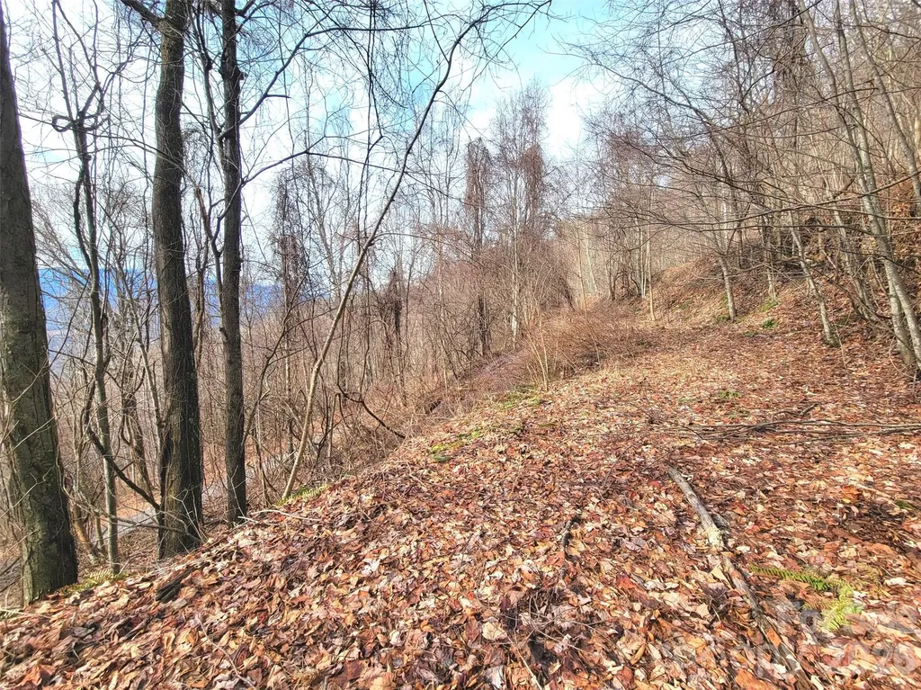 75 Rimrock Ridge Clyde NC 28721