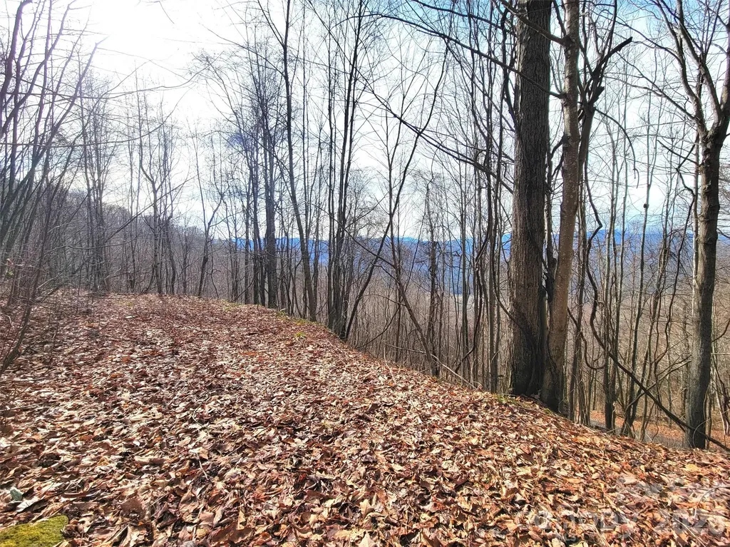 75 Rimrock Ridge Clyde NC 28721