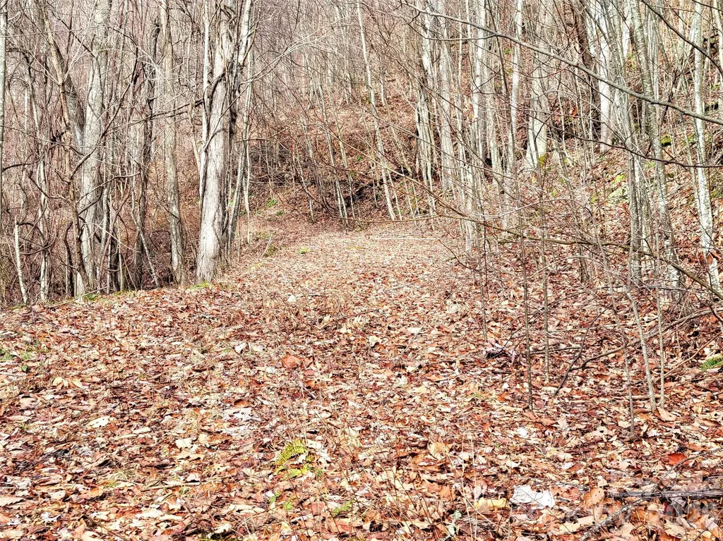 75 Rimrock Ridge Clyde NC 28721