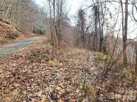 75 Rimrock Ridge Clyde NC 28721