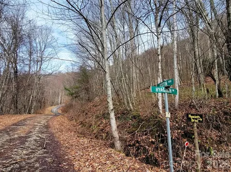 75 Rimrock Ridge Clyde NC 28721