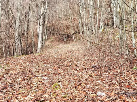 75 Rimrock Ridge Clyde NC 28721