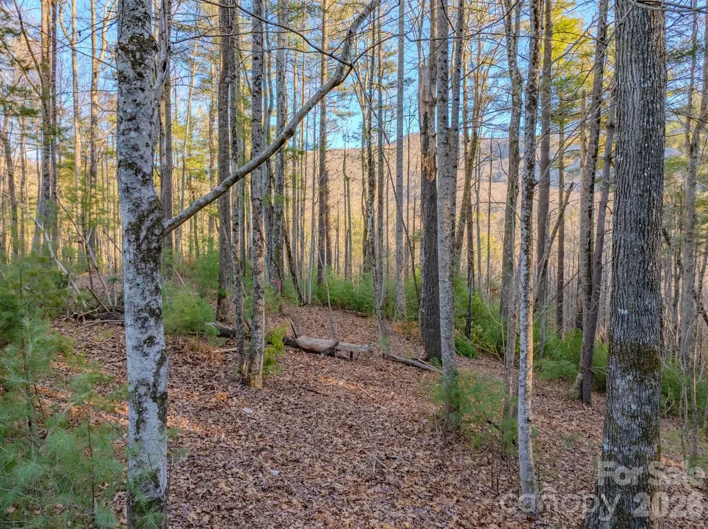 Lots 37 & 38 Settlers Ridge Road Hendersonville NC 28739