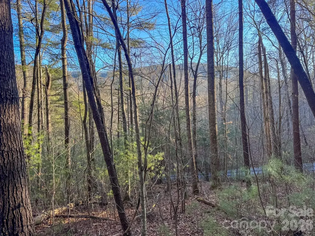 Lots 37 & 38 Settlers Ridge Road Hendersonville NC 28739