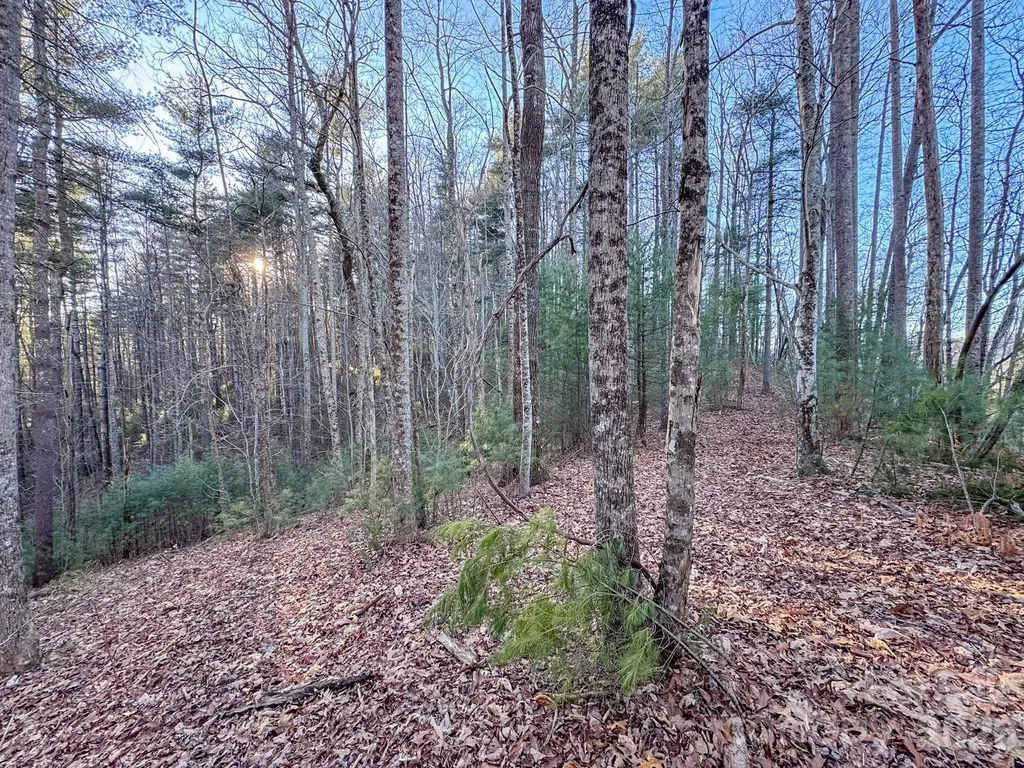 Lots 37 & 38 Settlers Ridge Road Hendersonville NC 28739
