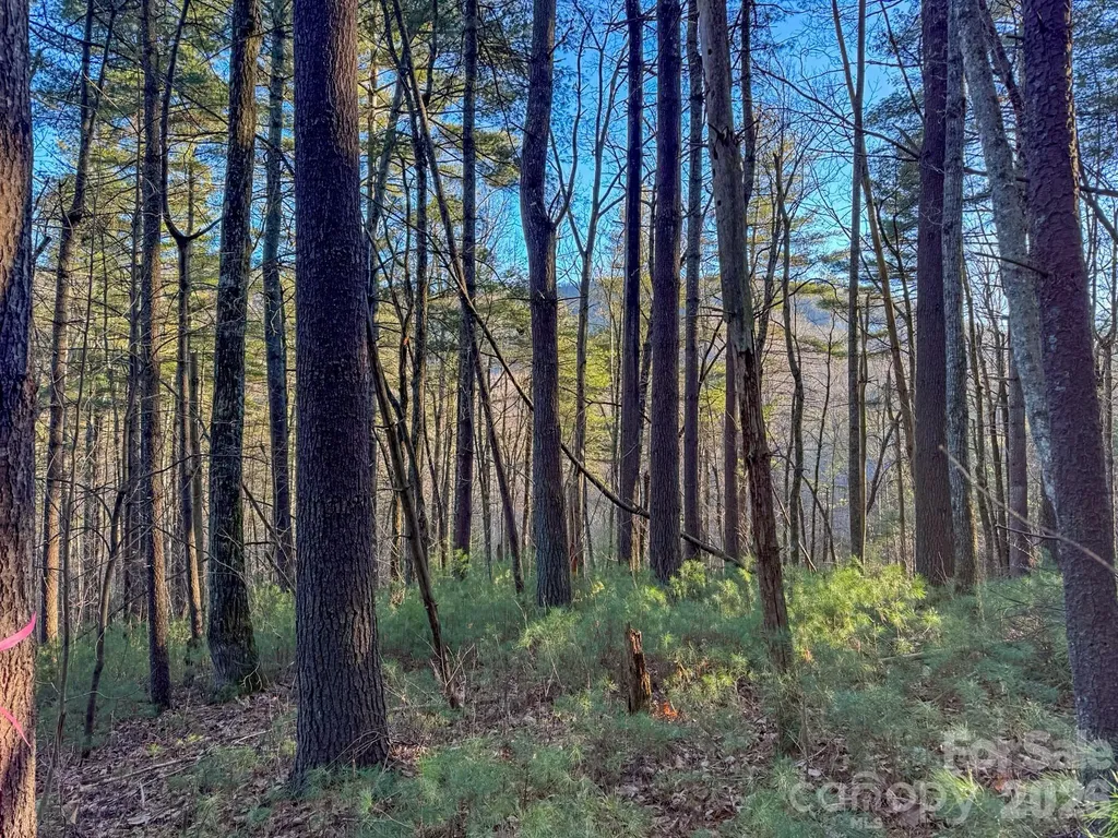 Lots 37 & 38 Settlers Ridge Road Hendersonville NC 28739