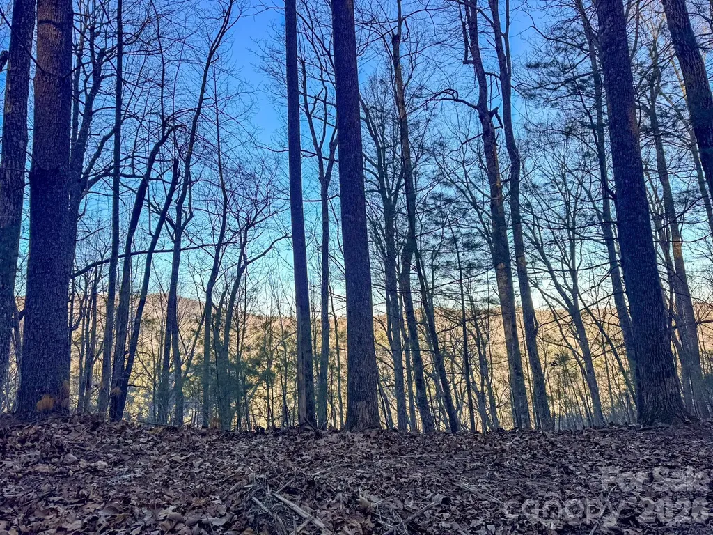 Lots 37 & 38 Settlers Ridge Road Hendersonville NC 28739