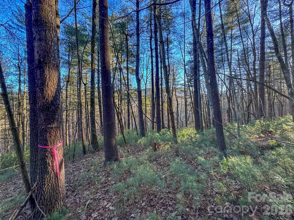 Lots 37 & 38 Settlers Ridge Road Hendersonville NC 28739