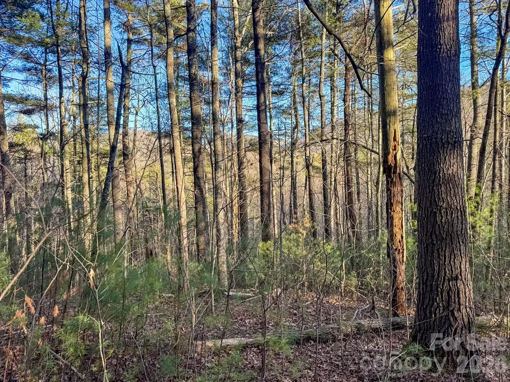 Lots 37 & 38 Settlers Ridge Road Hendersonville NC 28739