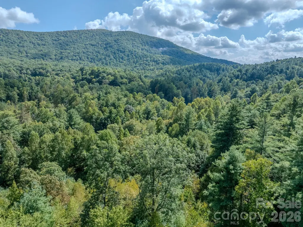 Lots 37 & 38 Settlers Ridge Road Hendersonville NC 28739