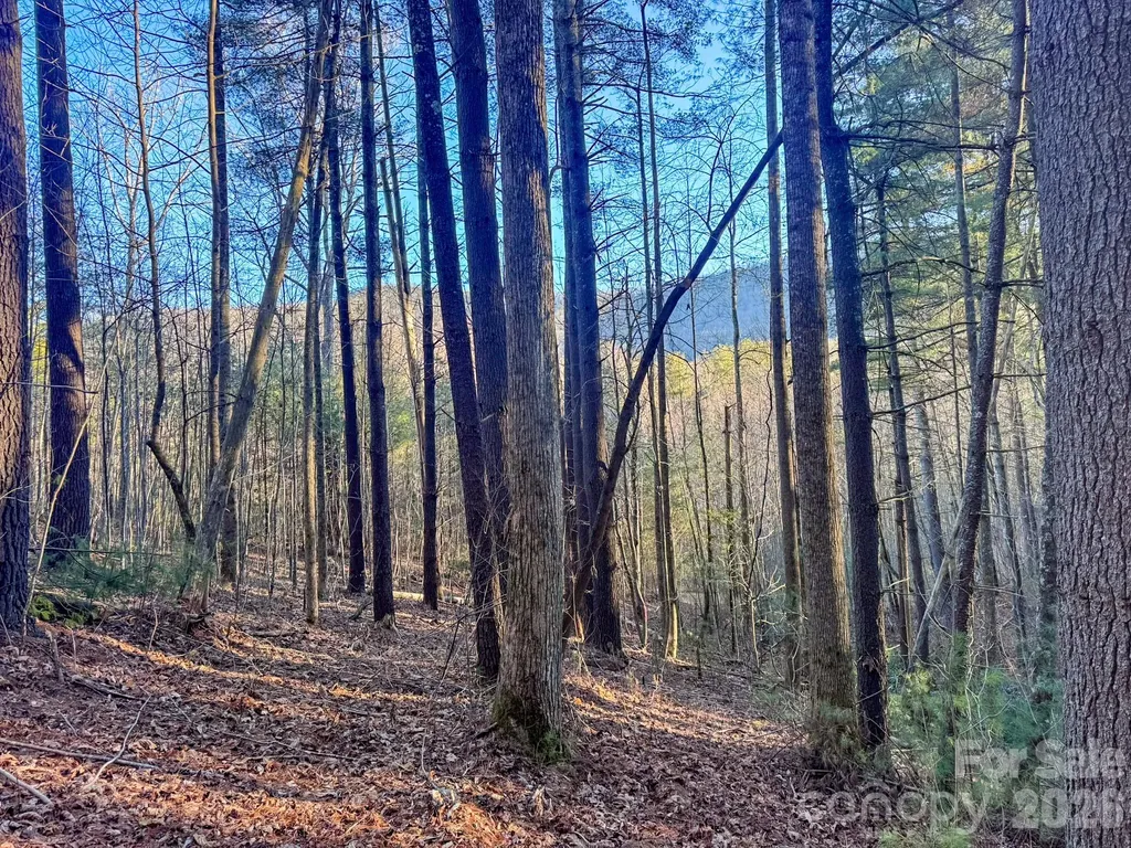 Lots 37 & 38 Settlers Ridge Road Hendersonville NC 28739