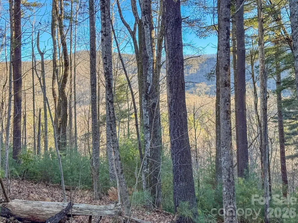 Lots 37 & 38 Settlers Ridge Road Hendersonville NC 28739
