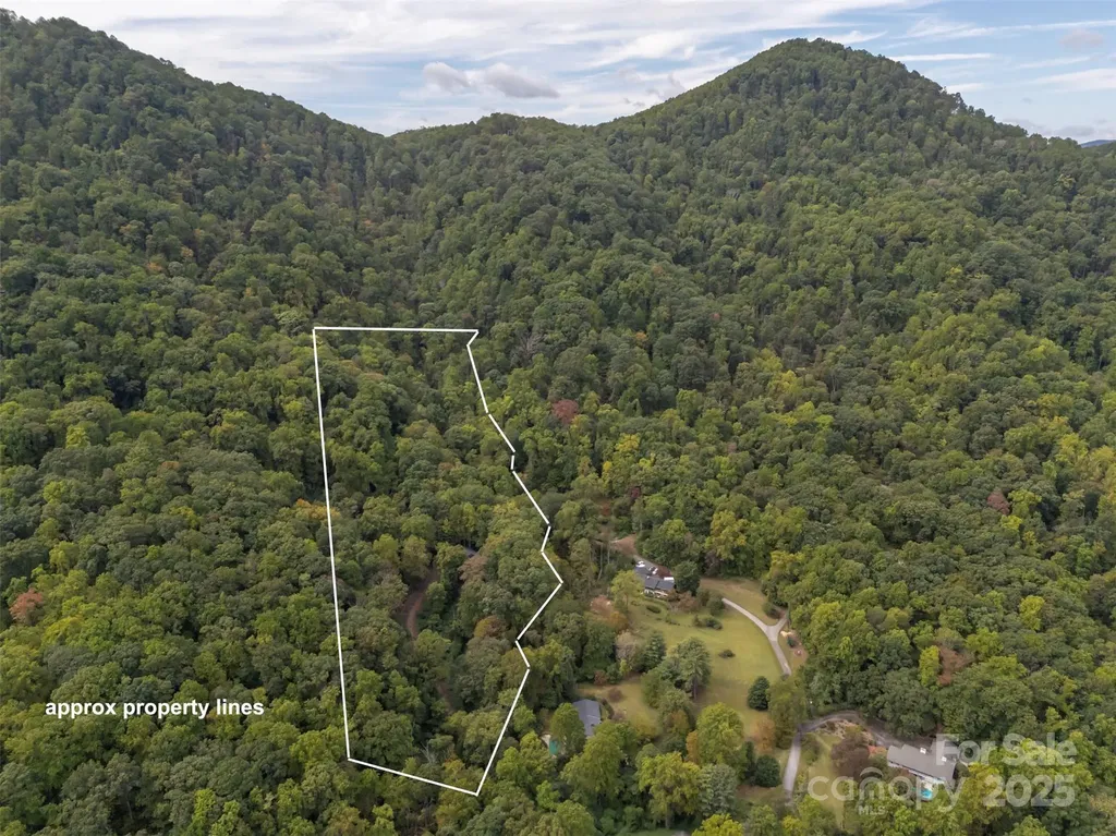 160 Lasae Lane Tryon NC 28782