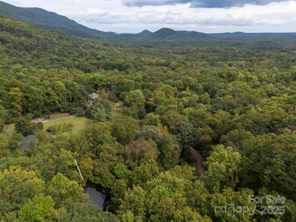 160 Lasae Lane Tryon NC 28782