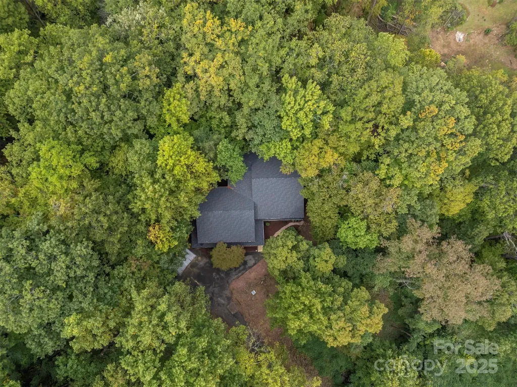 160 Lasae Lane Tryon NC 28782