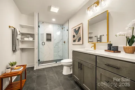 160 Lasae Lane Tryon NC 28782