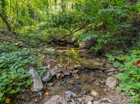 160 Lasae Lane Tryon NC 28782
