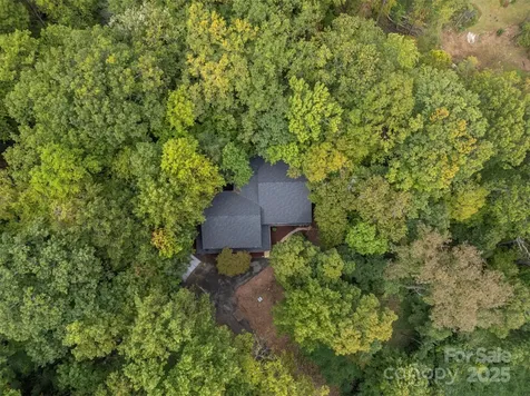 160 Lasae Lane Tryon NC 28782