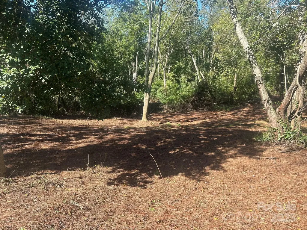Woodfin NC, 1 View Street