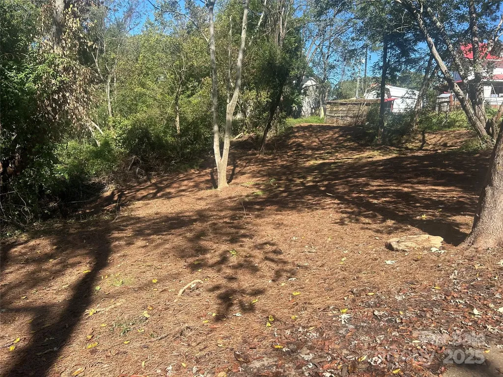 1 View Street Woodfin NC 28804