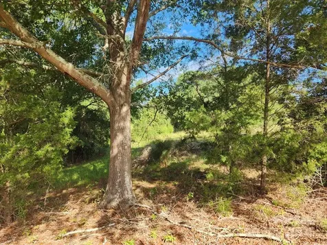 5987 Charlotte Highway Lancaster SC 29720