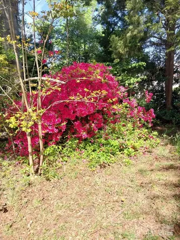 5987 Charlotte Highway Lancaster SC 29720