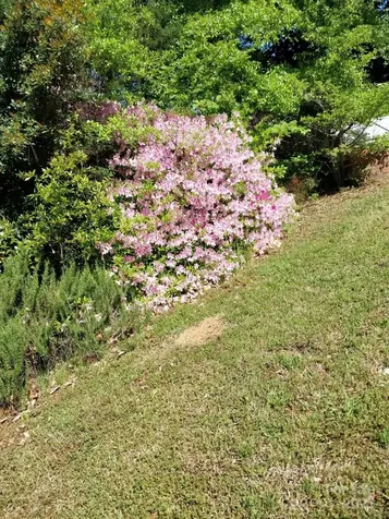 5987 Charlotte Highway Lancaster SC 29720