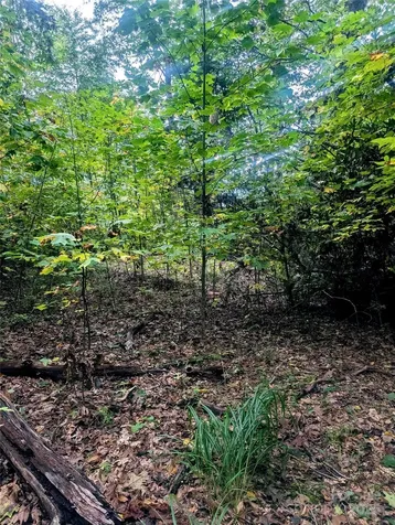 0 Luxury Lake Etowah NC 28739