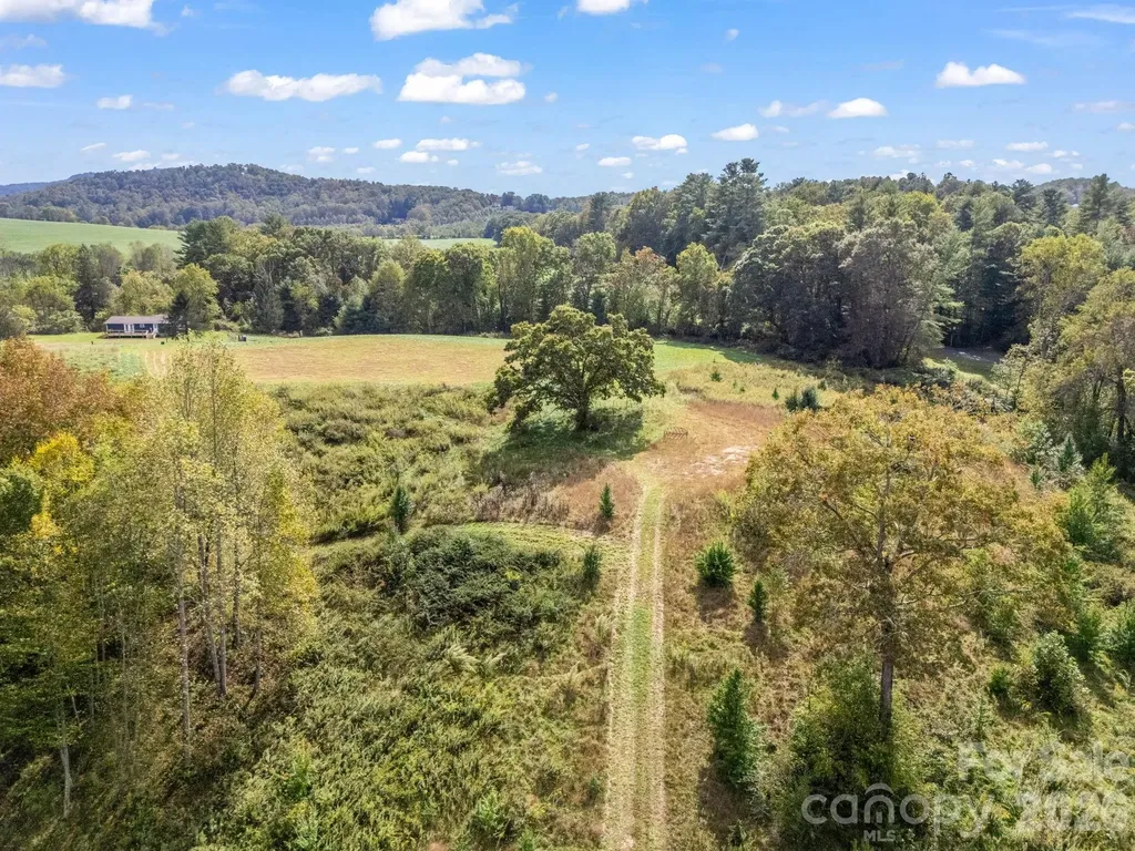 126 & 128 Cook Lane Mills River NC 28759