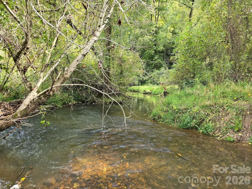 126 & 128 Cook Lane Mills River NC 28759