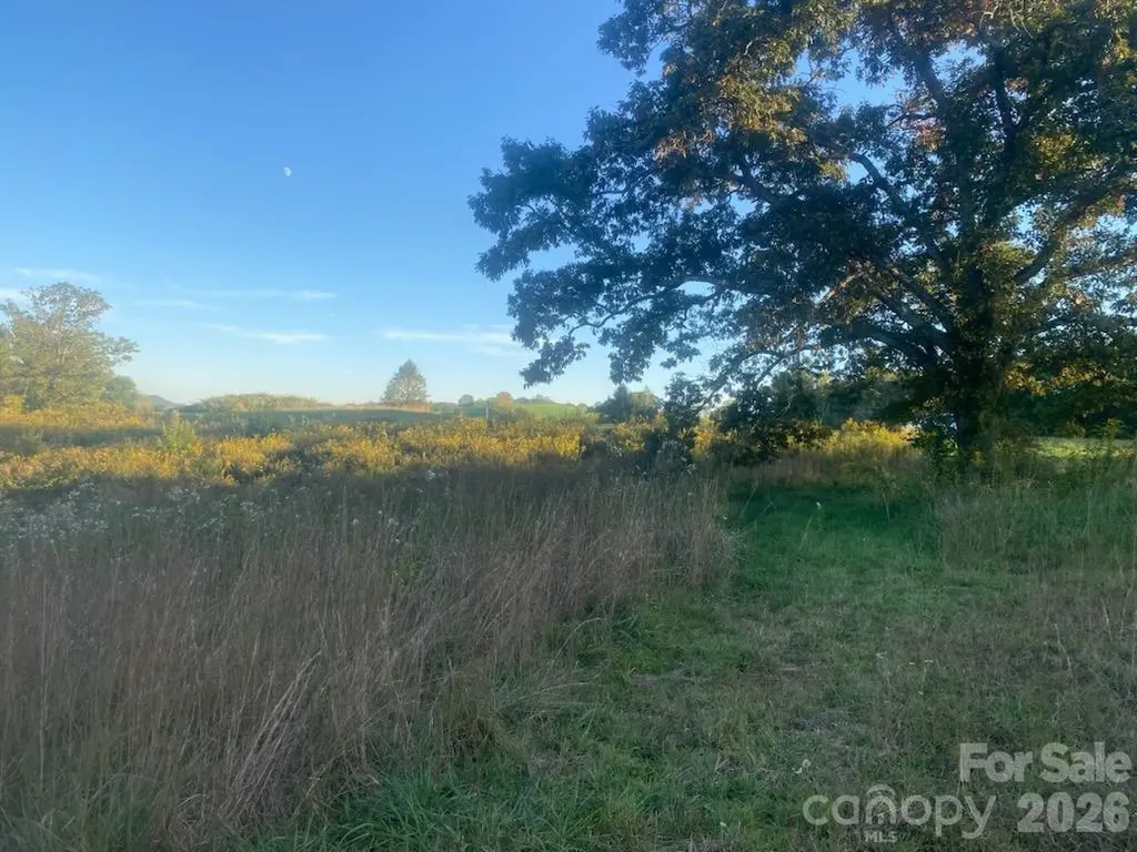 126 & 128 Cook Lane Mills River NC 28759